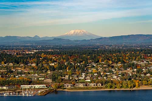 a city with trees and a mountain in the background