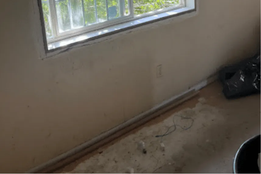 Interior room with peeling walls, dirty floor, and a window showing overgrown greenery outside, representing a home in need of repairs, relevant to Portland Cash Buyers' services for selling houses as-is.